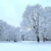 the winter moscow river dresses in a snowy coat 117736