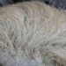 the wonderful hair extensions that shocked me when i knew the price is hundred billion vnd 117597