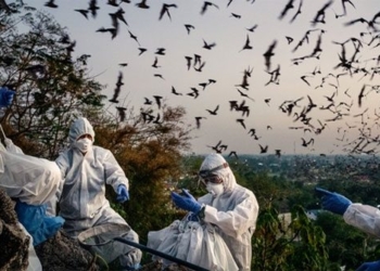 the world always faces the risk of new pandemics from corona virus 115967