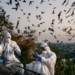 the world always faces the risk of new pandemics from corona virus 115967
