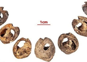 the worlds oldest jewelry beads can be up to 150000 years old 117387