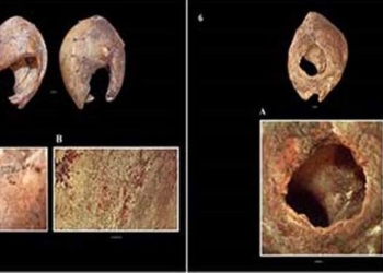 the worlds oldest jewelry discovered 116137