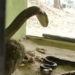 the worm just entered the pool and does not know if it will die in the end the pool has the action 116559