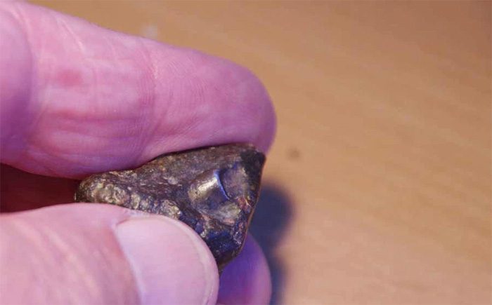 Meteorite NWA 869.