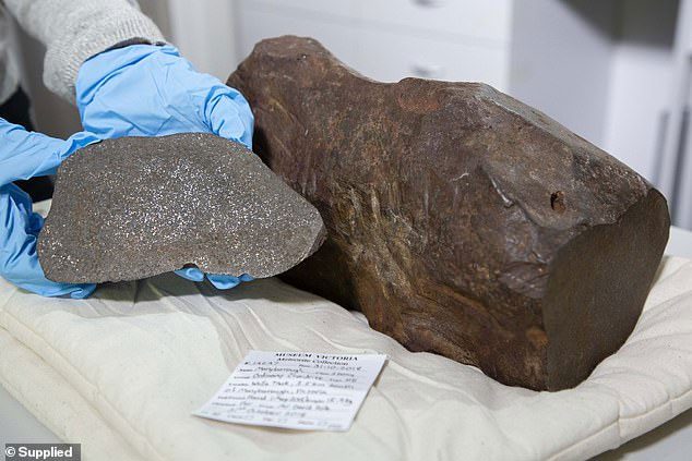 The rock thought to be trash is actually a part of a 4.6 billion-year-old meteorite.