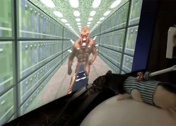 this mouse has learned to play doom game for a brighter future for its kind 117430
