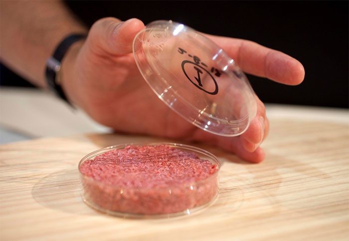 Artificial Meat