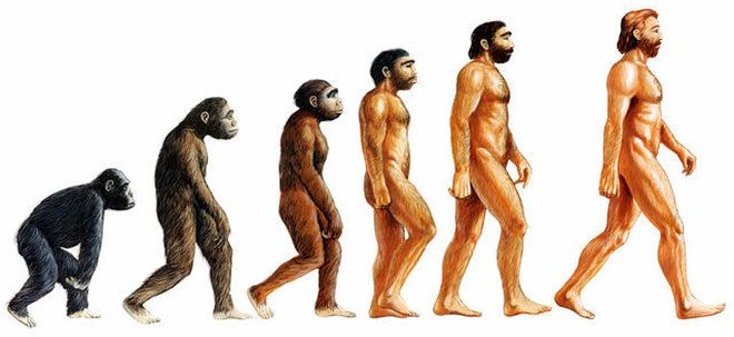 Darwin's theory of evolution
