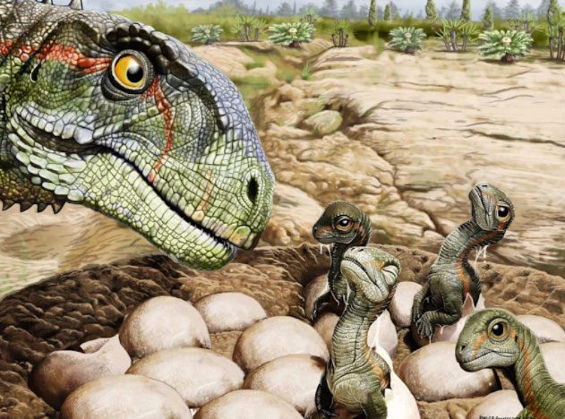 Graphic depiction of dinosaur nests