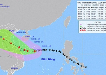 tonight typhoon 5 will bring heavy rain and strong winds to central coastal areas 115863
