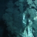 top 10 most shocking secrets about the ocean depths 117145