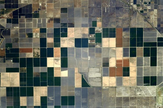 A field captured on August 17 with rectangular color patches.