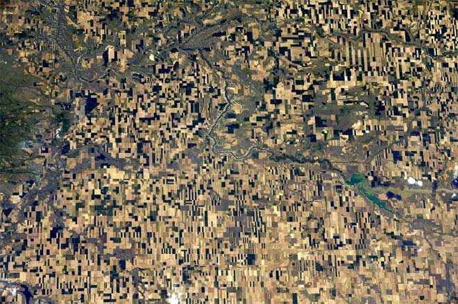 Photo taken on June 3 capturing a crop art field in Canada.