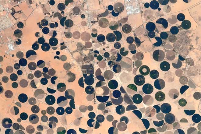 While flying over the African continent, Pesquet captured circular fields in the desert.