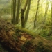 tree free carbon release more than biomass 116064