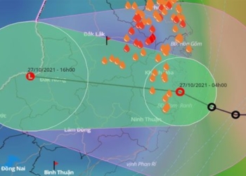 tropical depression moves into binh dinh ninh thuan rainfall reaches up to 200mm 116767
