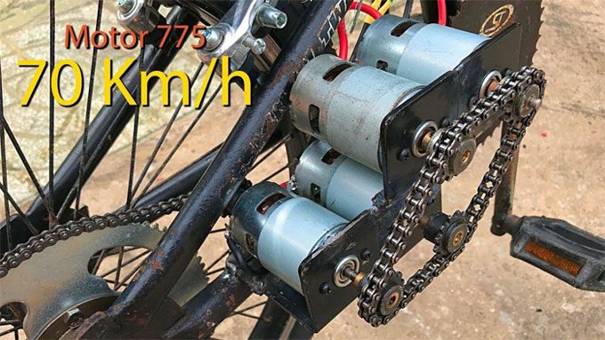 The maximum speed tested by this individual reached 70 km/h.