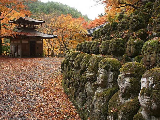 The scenery here is peaceful and serene.