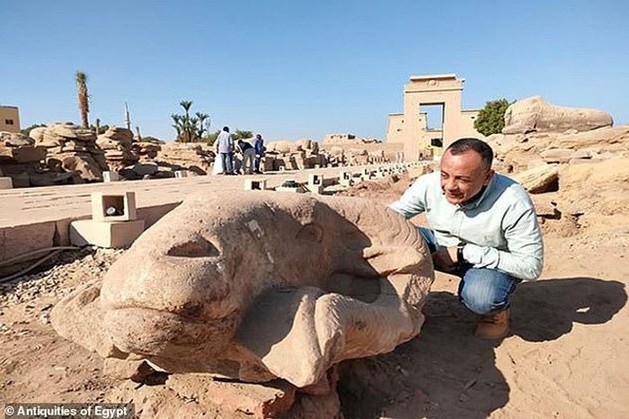 A ram statue head recently discovered at the "Avenue of the Sphinxes".