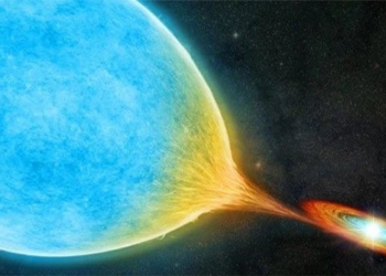 two creatures eating each other reveal the truth about a star from another galaxy 117646