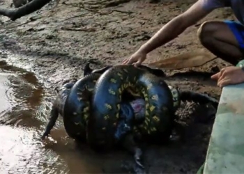 two men discover a bouncing ball near the river when driving with someone terrified 116651