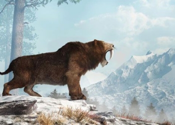 unexpected discovery about 2 million year old human species living with monsters 117171