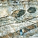 unexpected discovery about the earths invisible shell 117280