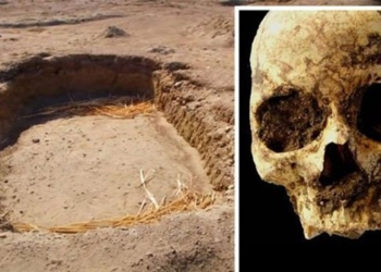 unexpected discovery unique about ancient egyptian civilization 117086