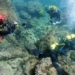 unexpected offshore vote discovered one of the largest treasures in europe 116184