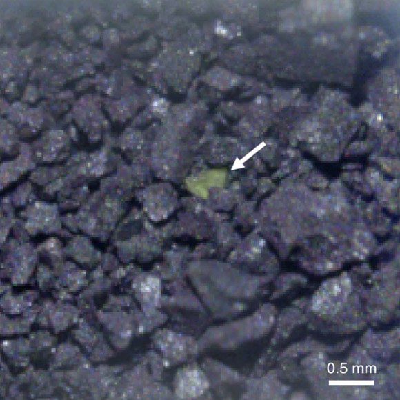 Special dark matter sample from Ryugu