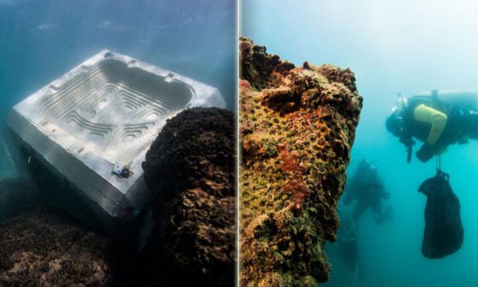 ECOncrete materials mimic the shape and texture of rocks to help marine organisms attach.