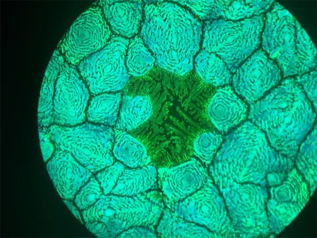 Perovskite has been hailed as a “miracle material” due to its potential to revolutionize everything