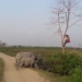 video being chased by a nightmare man climbing a tree 116785