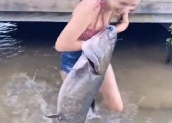 video drowning girl attacked by monster to the point of being dragged up anyone would be terrified 116588
