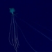 video extremely rare clip of the long arm sea monster after 117164
