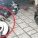 video report violent attack on house and grim consequences 117686