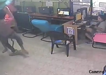 video snake phi attack young man in internet cafe 117308