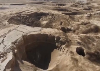 video thousands of horses appear when the dead sea 116789