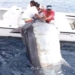 video three men lift large with the arc crane surprising with the size of the fish when lifting 116686