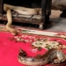 video transformation attack and consequences extremely shocking 116186