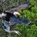 video two green birds unexpectedly attacked by a light bulb will they survive 116761