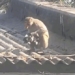 video when kidnaping the child brings home and the unbelievable ending 117908