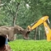 video with mom heroically fighting with excavator to protect child 117628