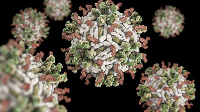 "Children with this strange illness die very quickly," said Dr. Neeta Kulshrestha.