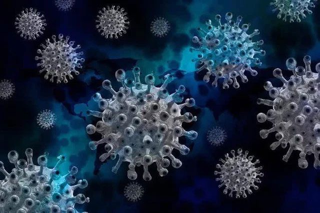 The new antibody combats all coronaviruses, including SARS-CoV-2.