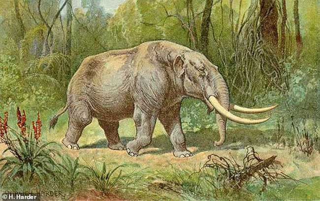 Mastodon