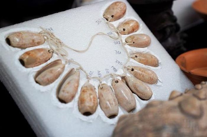 Necklace made from seashells