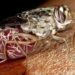 warning belly explosion disease could cause 70 million deaths in africa 117066