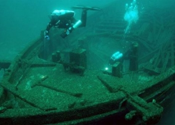 water hyacinth can cure me 2 500 shipwrecks 116868