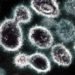 we may not just target sars cov 2 with antibodies 117835